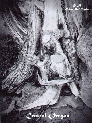 cover image of Central Oregon